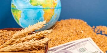 Global Food Supply Chains Strengthen Ahead of El Niño