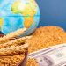 Global Food Supply Chains Strengthen Ahead of El Niño