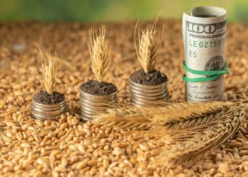 Canada Invests in Agri-Food Supply Chain Growth