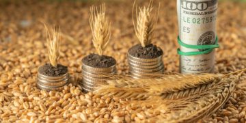 Canada Invests in Agri-Food Supply Chain Growth