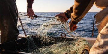 Vietnam’s Seafood Industry Gains Global Momentum Through Innovation and Sustainable Supply Chains