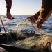 Vietnam’s Seafood Industry Gains Global Momentum Through Innovation and Sustainable Supply Chains