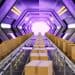 Alternative Trade Corridors Strengthen Supply Chain Resilience
