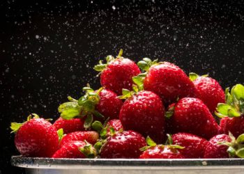 Mexico Strawberry Trade Enters Next Review Stage
