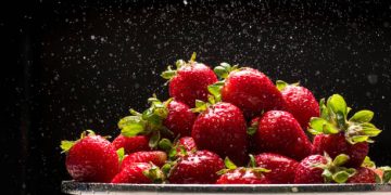 Mexico Strawberry Trade Enters Next Review Stage