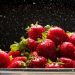 Mexico Strawberry Trade Enters Next Review Stage
