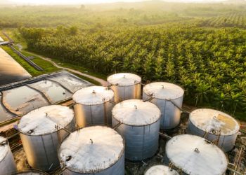 Latin America Strengthens Its Role in Global Food Supply Chains