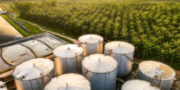Latin America Strengthens Its Role in Global Food Supply Chains