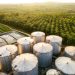 Latin America Strengthens Its Role in Global Food Supply Chains