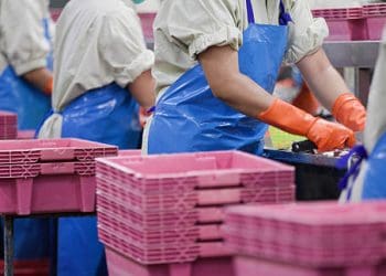Indonesia Advances Sustainable Food Packaging Supply Chain