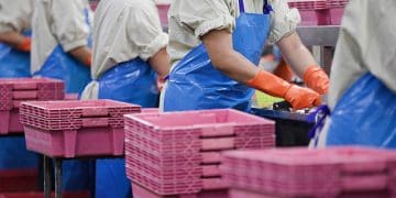 Indonesia Advances Sustainable Food Packaging Supply Chain