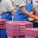 Indonesia Advances Sustainable Food Packaging Supply Chain
