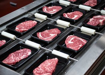 U.S. Expands Beef Import Quota
