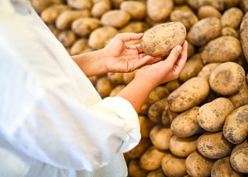 India Advances Potato Supply Chain