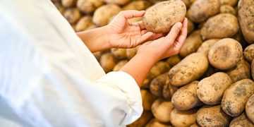 India Advances Potato Supply Chain