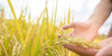 Taiwan Expands Agricultural Partnerships with Europe