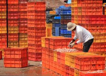 India Strengthens Its Position in Global Seafood Exports