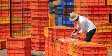 India Strengthens Its Position in Global Seafood Exports