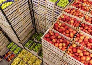 Taiwan Strengthens Food Supply Chain Governance