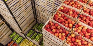 Taiwan Strengthens Food Supply Chain Governance