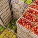 Taiwan Strengthens Food Supply Chain Governance