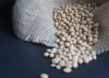 Indonesia Strengthens Soybean Trade
