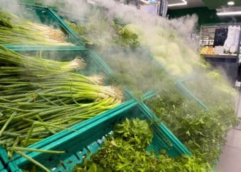 Cold Chain Innovation Expands Global Access to Fresh and Temperature-Sensitive Goods