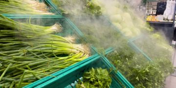 Cold Chain Innovation Expands Global Access to Fresh and Temperature-Sensitive Goods