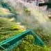 Cold Chain Innovation Expands Global Access to Fresh and Temperature-Sensitive Goods