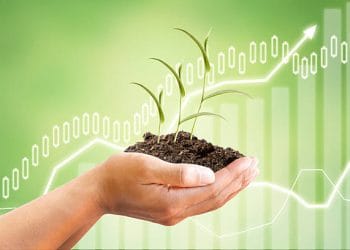 United States and China Advance Agriculture Trade Talks