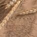 Brazil Focuses on Wheat Supply Chain Efficiency Amid Changing Freight Conditions