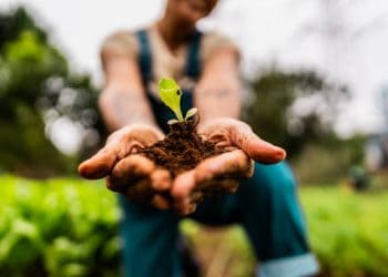 Global Food Security Efforts Highlight Supply Chain Resilience in the United Kingdom