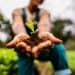 Global Food Security Efforts Highlight Supply Chain Resilience in the United Kingdom